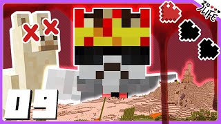 3rd Life SMP  THE RED KING RISES  Ep 09 [upl. by Barbee]