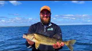 NonStop Action on Oneida Lake Casting for Walleyes in Upstate New York [upl. by Gery85]