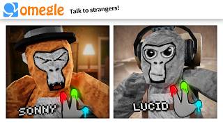 OMEGLE Trolling in Gorilla Tag [upl. by Apur]