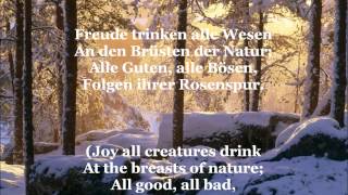 Ode an die Freude  Song Of Joy with German lyrics amp English translation [upl. by Nwahsyt678]