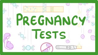 GCSE Biology  How do Pregnancy Tests Work 41 [upl. by Unity]