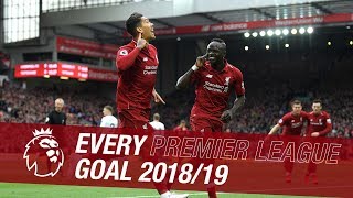 All 89 of Liverpools Premier League goals from the 201819 season [upl. by Hnahym401]