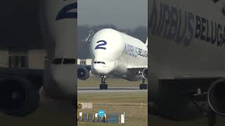 Airbus BELUGA Takeoff [upl. by Waal826]