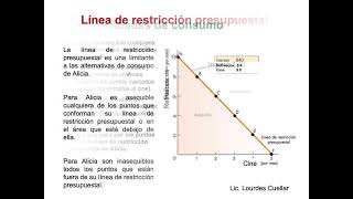 Línea de Restricción Presupuestaria  Microeconomía [upl. by Rollie]