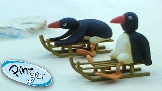 Pingus Tobogganing  Pingu Official  Cartoons for Kids [upl. by Telimay]