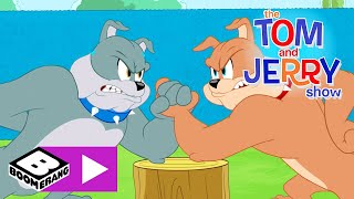 Tom și Jerry  Fratele mai mare al lui Spike  Cartoonito [upl. by Rramal539]