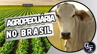 AGRICULTURA E PECUÁRIA NO BRASIL GEOGRAFIA [upl. by Amrak]