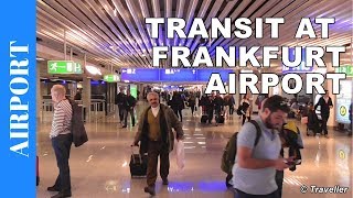 TRANSIT WALK AT FRANKFURT Airport FRA Terminal 1  Connection Flight Transfer Arriving amp Departing [upl. by Zetnauq303]