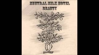 Neutral Milk Hotel  Beauty Full Album [upl. by Schatz264]