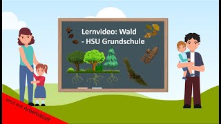 Lernvideo Wald  Nadelbäume🌲  HSU Grundschule [upl. by Amalita142]