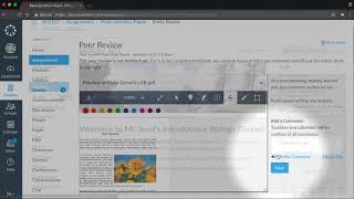 Peer Reviews Canvas Tutorial Video Series [upl. by Caia52]