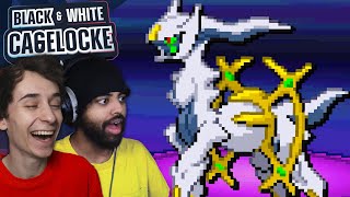 We Battle EACH OTHER In This Pokémon Nuzlocke Cagelocke 16 [upl. by Nnyled]