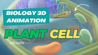 The Secret World Inside Plant Cells  3D Animation Reveals [upl. by Newfeld]