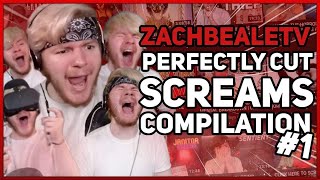 ZACHBEALETV PERFECTLY CUT SCREAMS COMPILATION 1 [upl. by Osei]