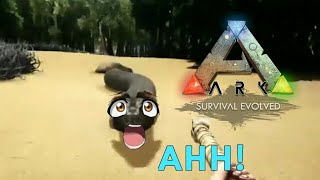 Ark Survival Evolved Funny Moments [upl. by Anawyt771]