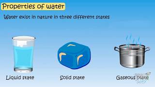 Properties of Water For Kids  Science  Tutway [upl. by Severn]