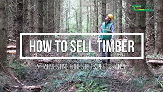 How to sell timber  a harvesting foresters perspective [upl. by Brooks326]