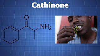 Cathinone What You Need To Know [upl. by Elyn]