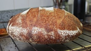 How to Make Sourdough Bread by Feel No Recipe [upl. by Charley]