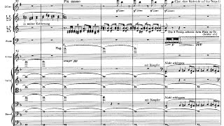 Mahlers 1st Symphony quotTitanquot Audio  Score [upl. by Wadleigh]