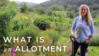 What is an Allotment [upl. by Perri]