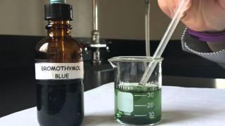 Bromothymol Blue Respiratory Physiology Experiment [upl. by Karrie]