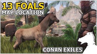 13 Foals Map Locations  CONAN EXILES [upl. by Eedissac]