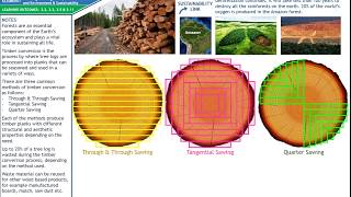 Wood Technology Timber Conversion [upl. by Llabmik]