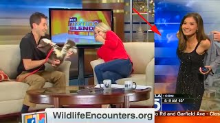 Funniest TV News Bloopers of 2021 [upl. by Canning]