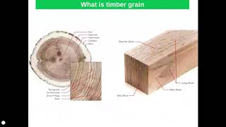 Timbers  Classification Properties and Uses [upl. by Felicia]