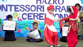 Pakistans Culture and Folk Songs by Bahria Foundation School amp College HAZRO Campus  PAKISTAN [upl. by Weinhardt]